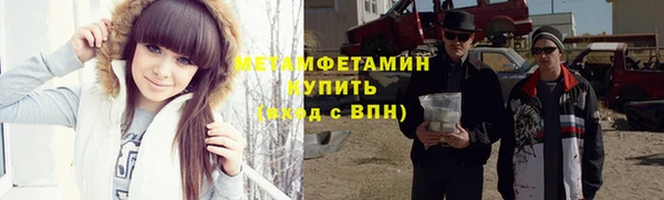шишки Верея