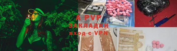 шишки Верея