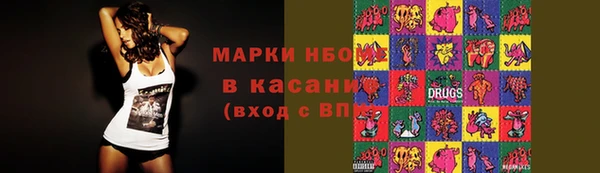 шишки Верея