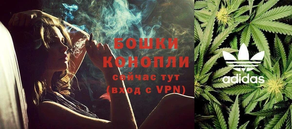 шишки Верея