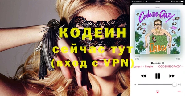 гидра Верхний Тагил