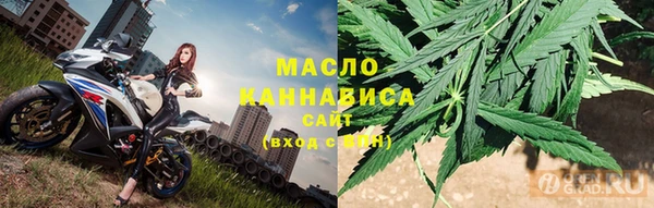 гидра Верхний Тагил