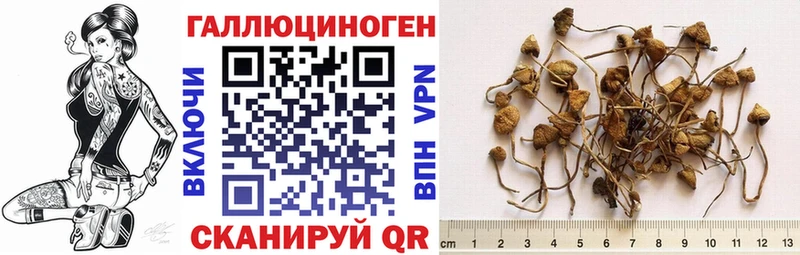 Галлюциногенные грибы прущие грибы  mega как войти  Семёнов  закладка 